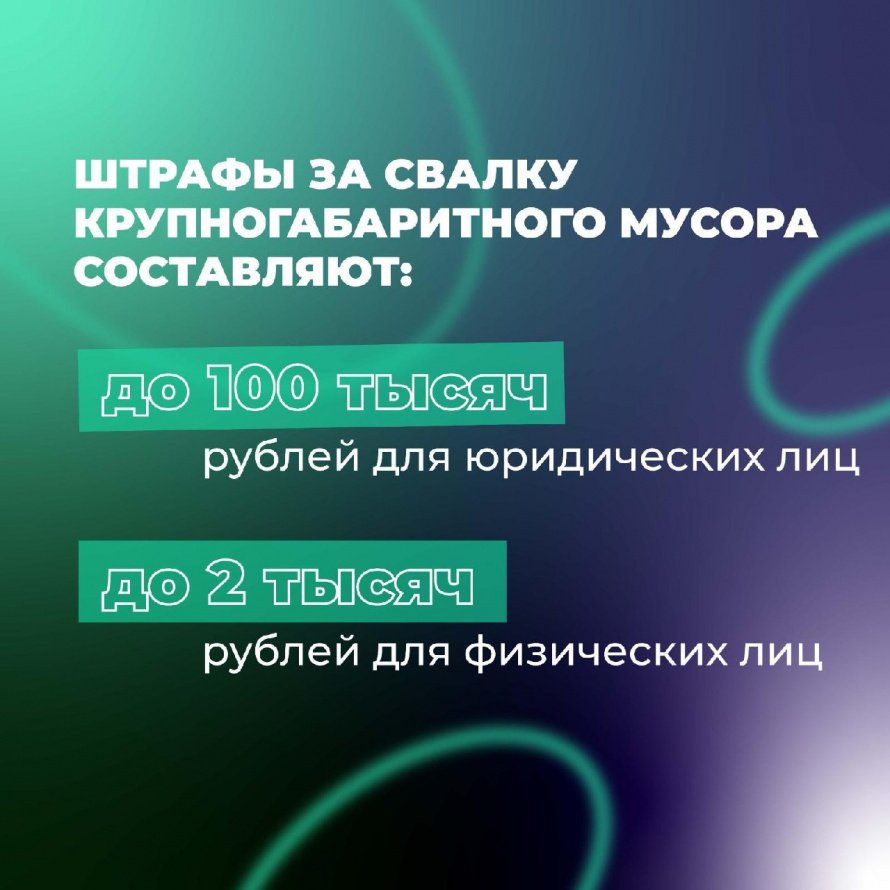 Штраф за свалку!