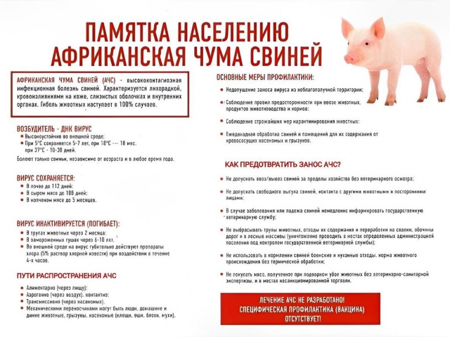 Служба ветеринарии Иркутской области информирует