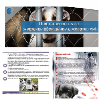 Ответственность за жестокое обращение с животными