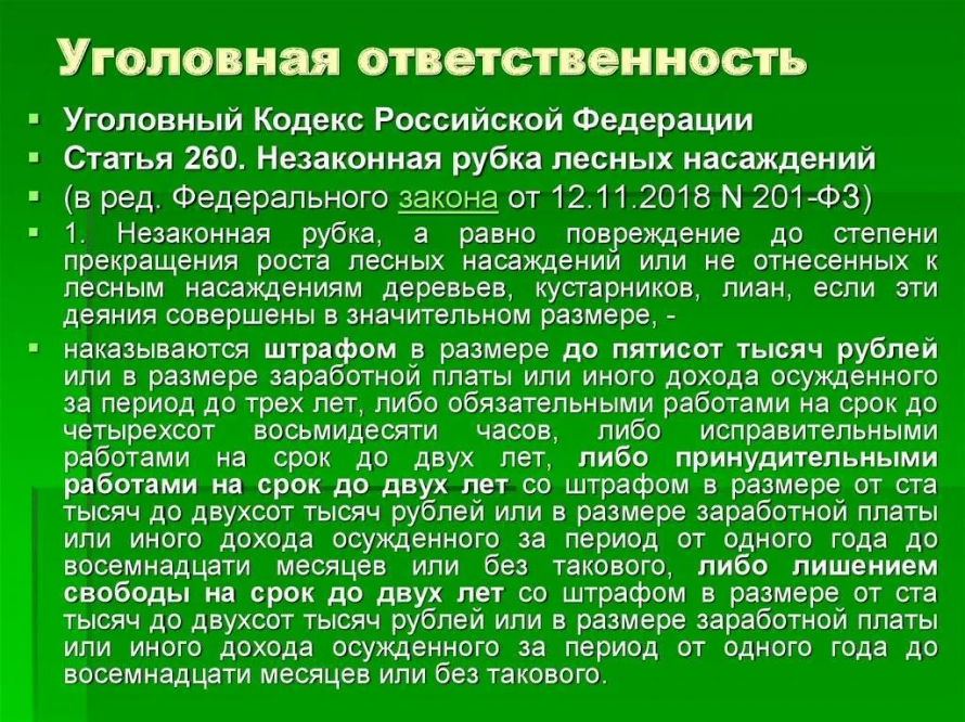 Уголовная и административная ответственность за незаконную рубку леса